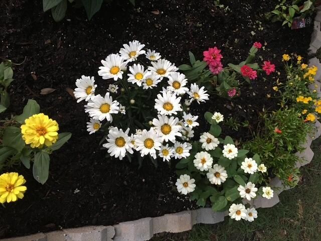 5324 Copley Circle Photo 33