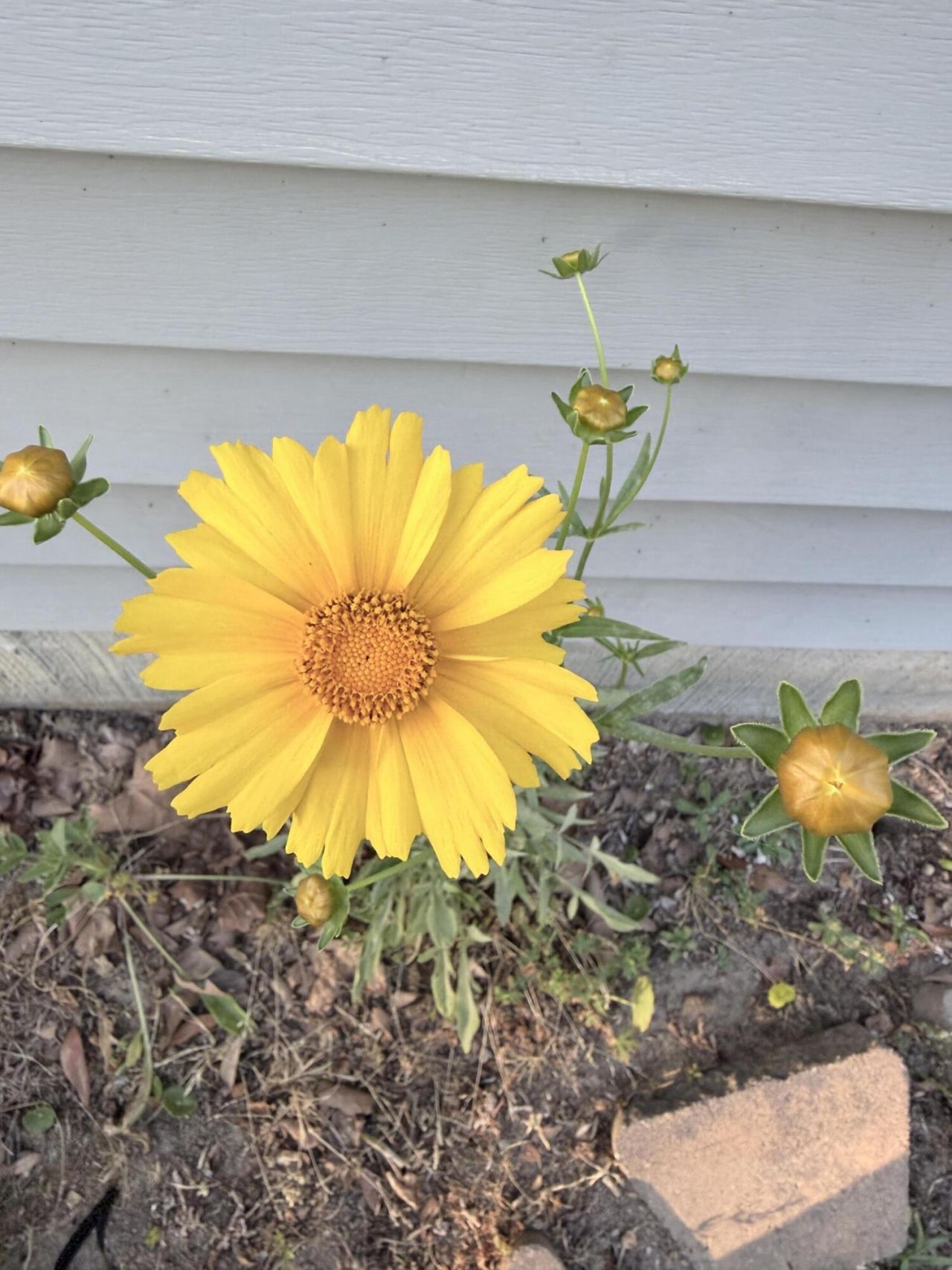 5324 Copley Circle Photo 34