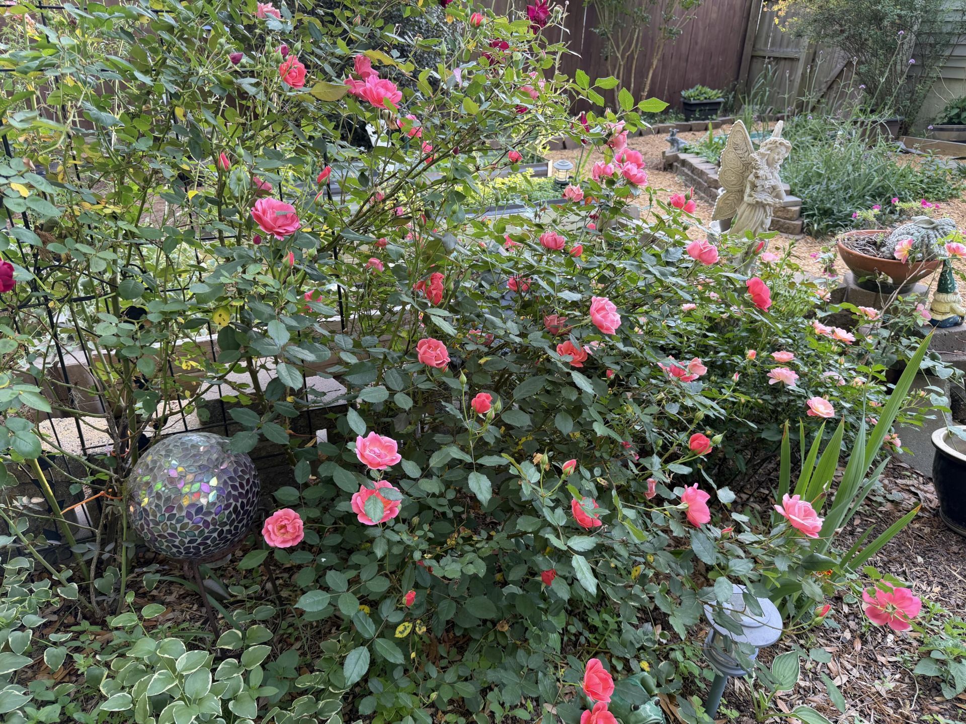 5324 Copley Circle Photo 37