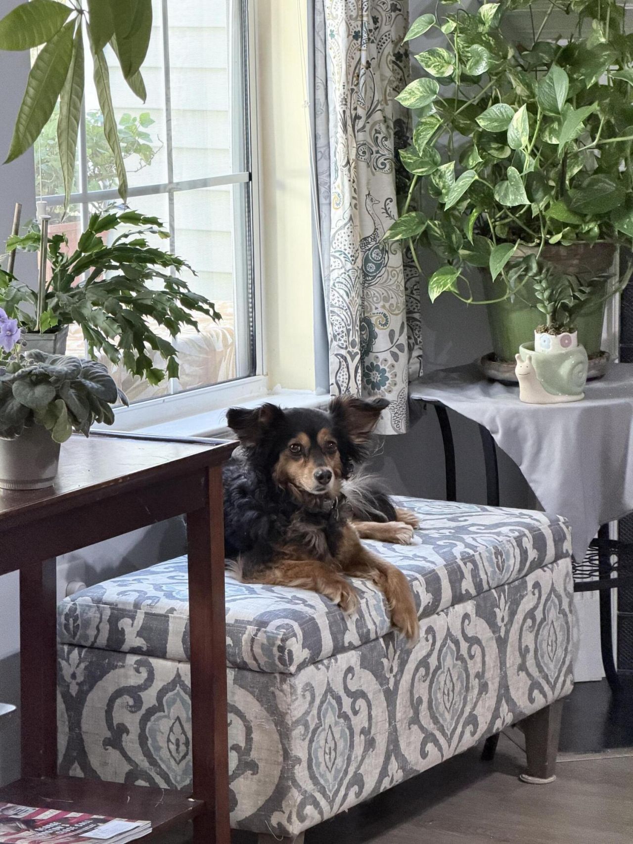 5324 Copley Circle Photo 7