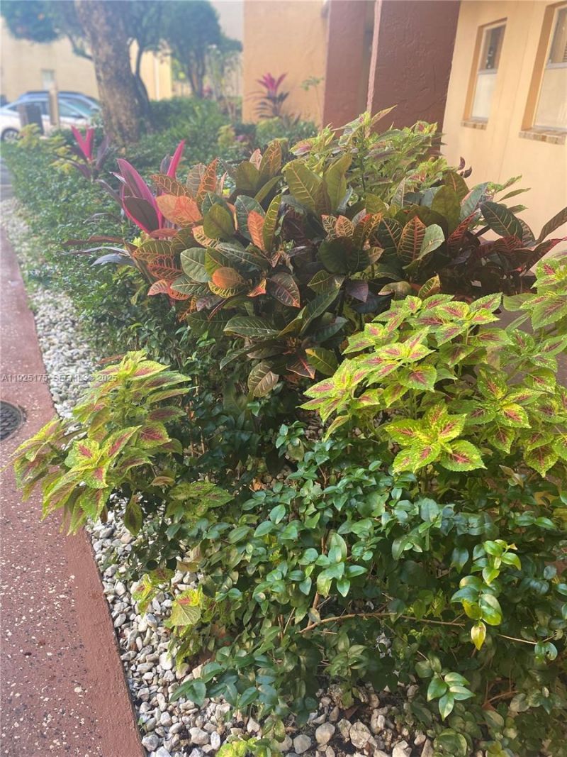 9261 Sunrise Lakes Blvd, Unit 103, Sunrise, FL 33322 Photo