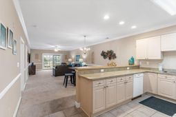 4843 Luster Leaf Circle photo 4