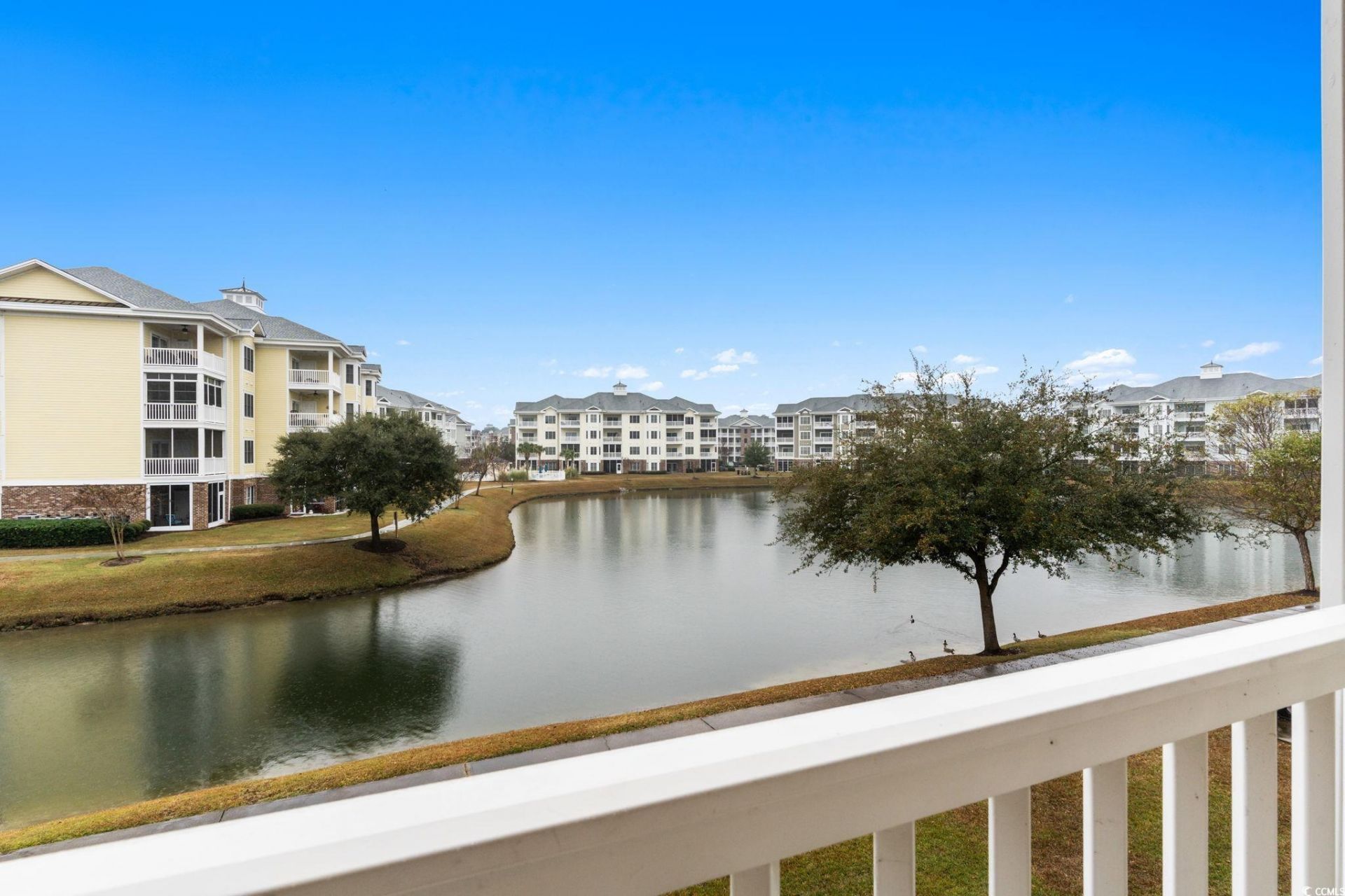 4843 Luster Leaf Circle Photo 22
