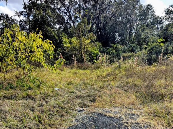 808 SW 3RD STREET, OCALA, FL 34471