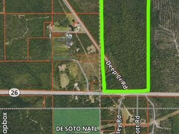 Tbn Deep Creek Road, Wiggins, MS 39577