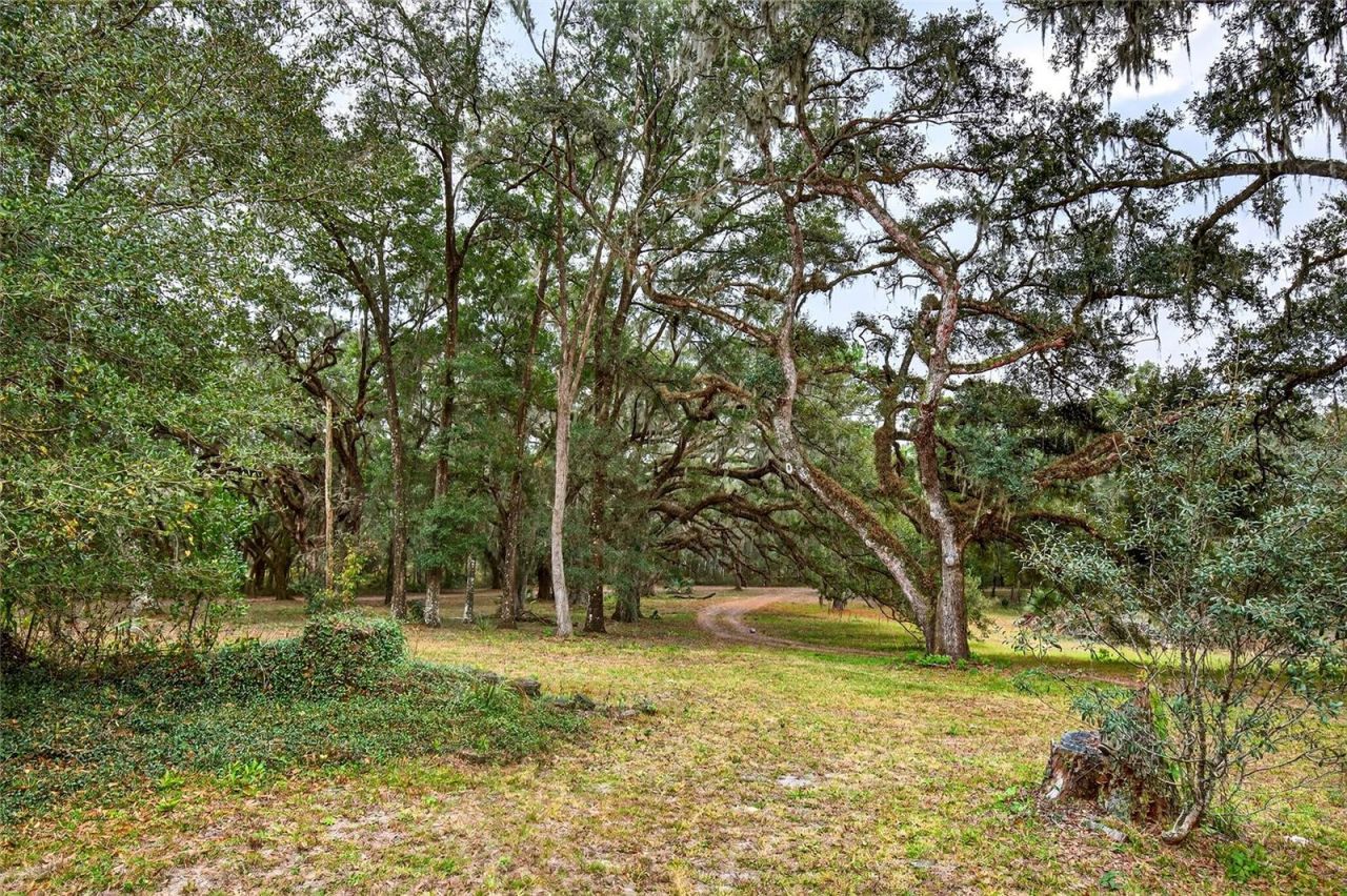 11795 SW Highway 484, Dunnellon, FL 34432 Photo