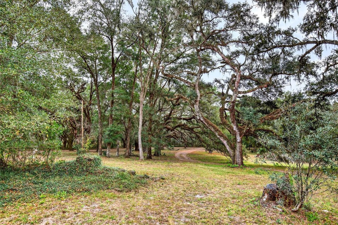 11795 SW Highway 484, Dunnellon, FL 34432 Photo