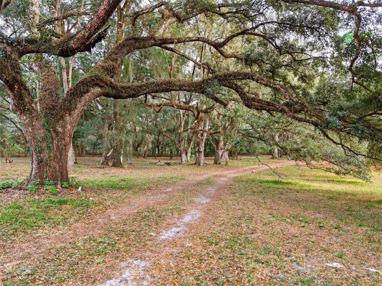 11795 SW Highway 484, Dunnellon, FL 34432 Photo