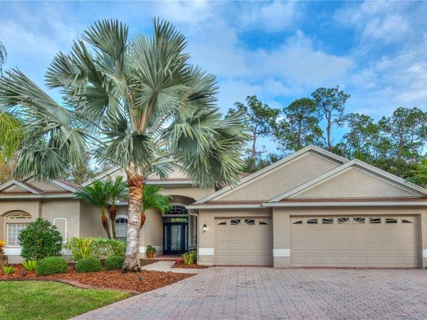 17388 EMERALD CHASE DRIVE, TAMPA, FL 33647