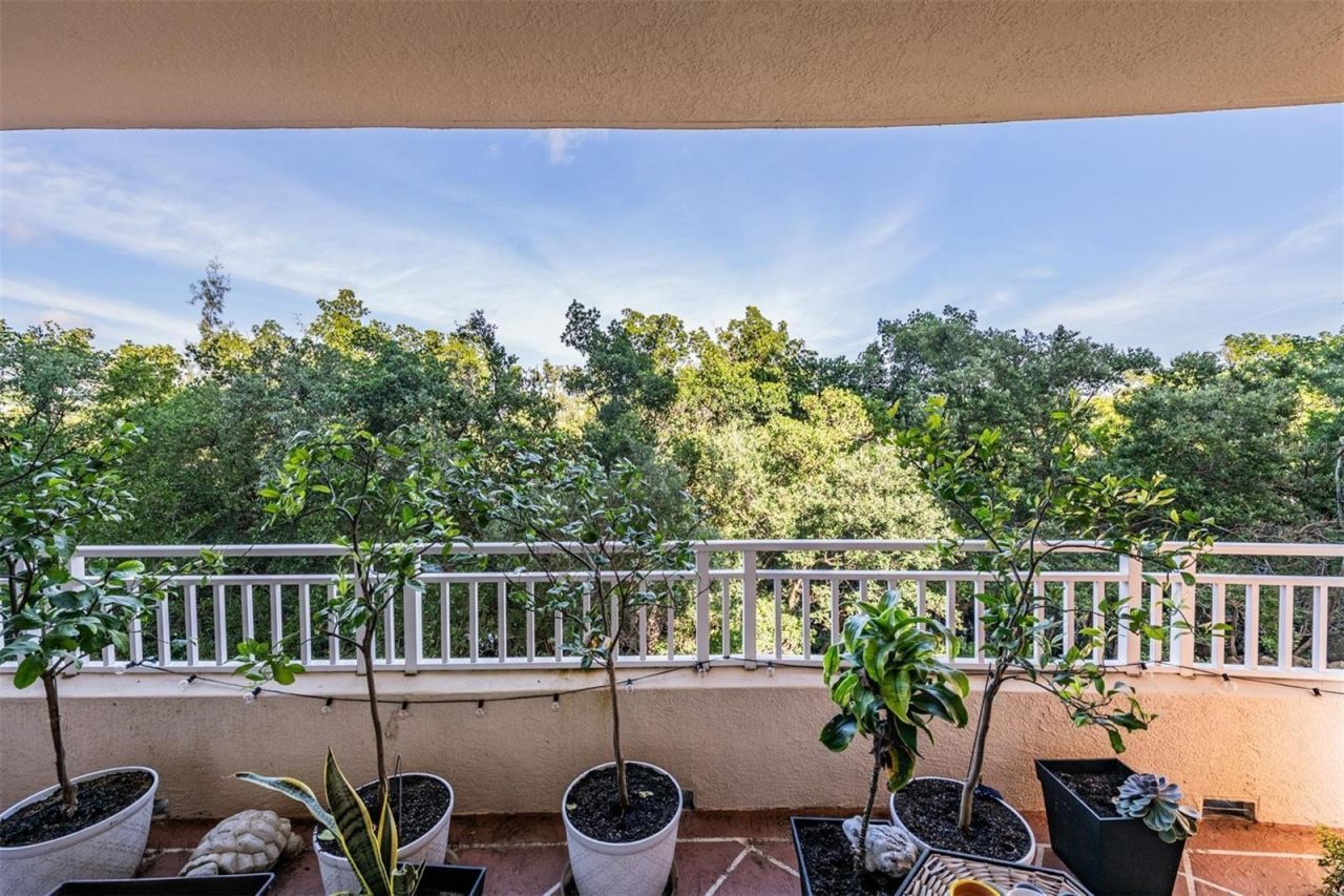 12033 Gandy Boulevard N, Unit 135, Saint Petersburg, FL 33702 Photo