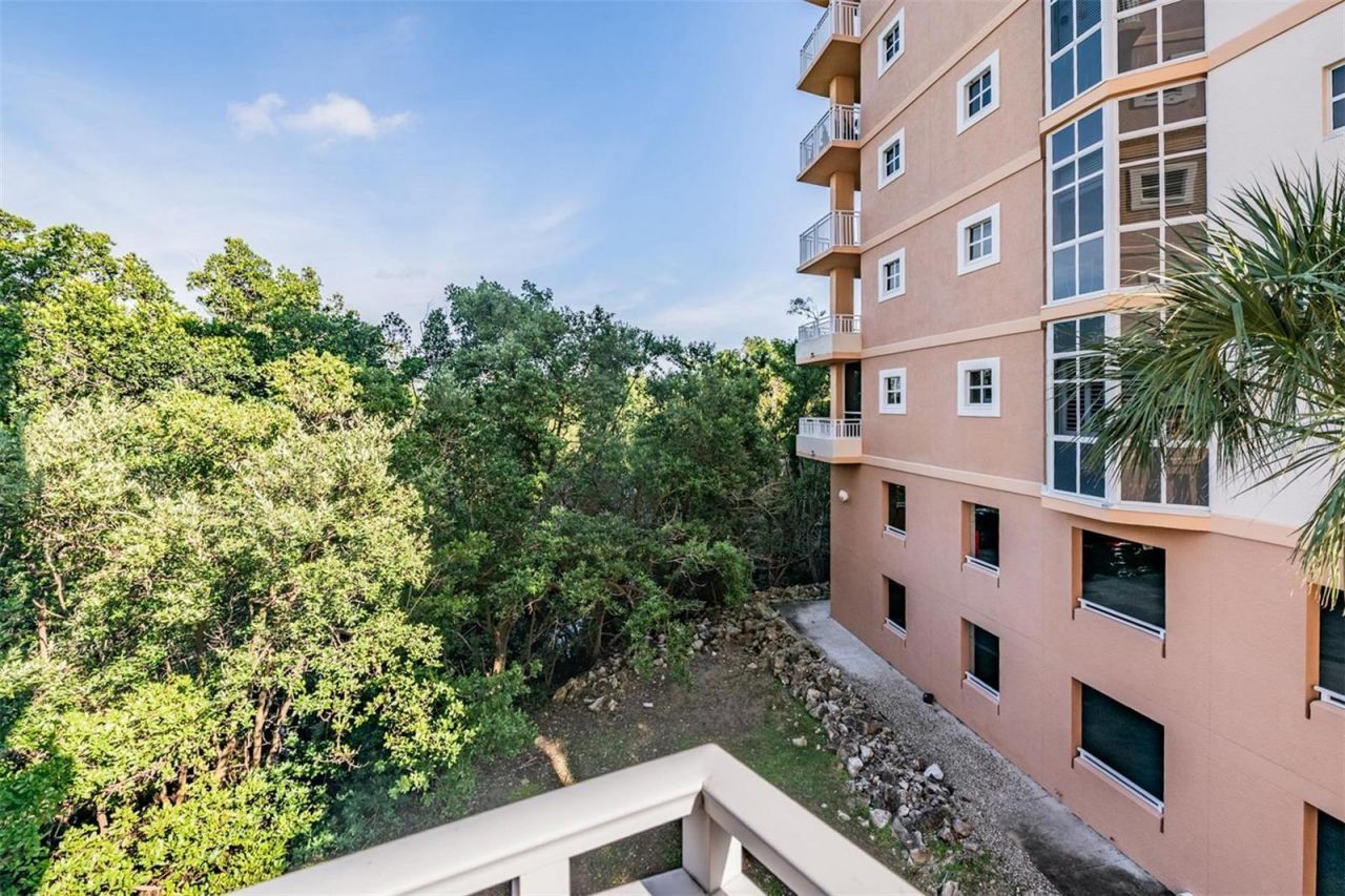 12033 Gandy Boulevard N, Unit 135, Saint Petersburg, FL 33702 Photo