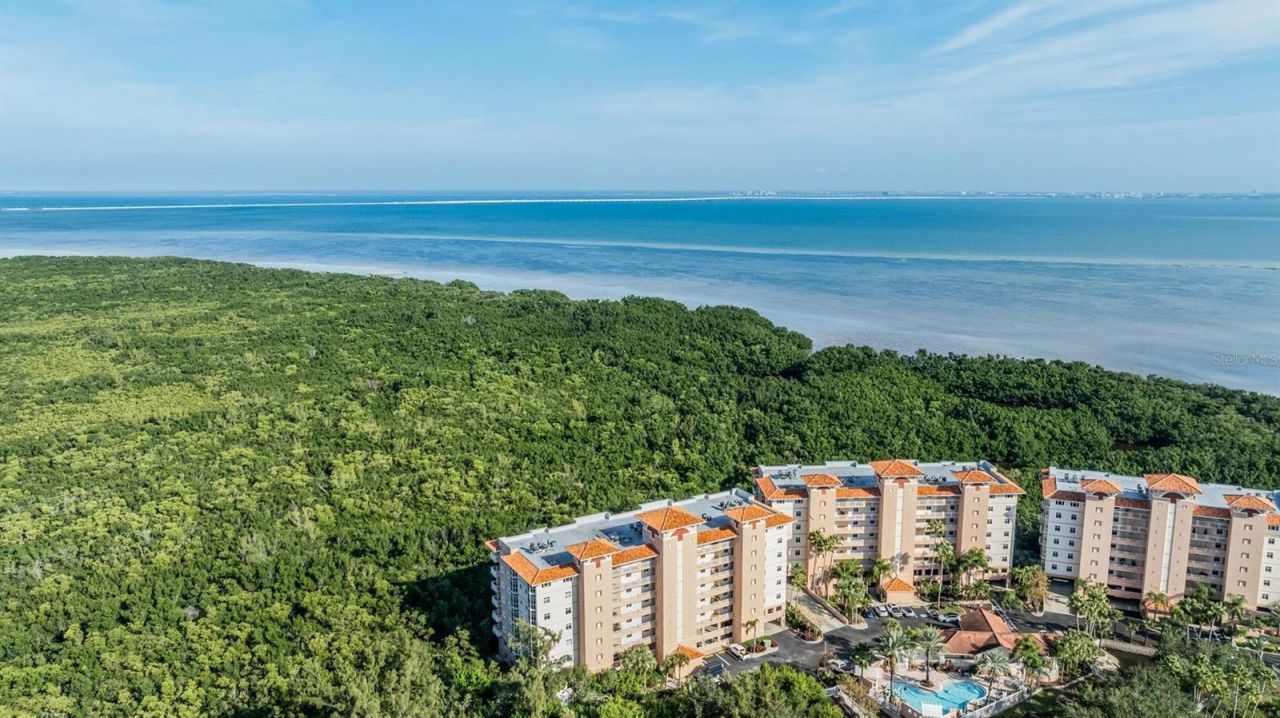 12033 Gandy Boulevard N, Unit 135, Saint Petersburg, FL 33702 Photo