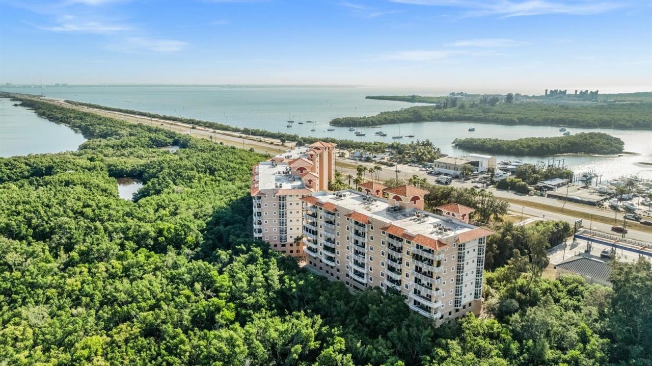 12033 Gandy Boulevard N, Unit 135, Saint Petersburg, FL 33702 Photo