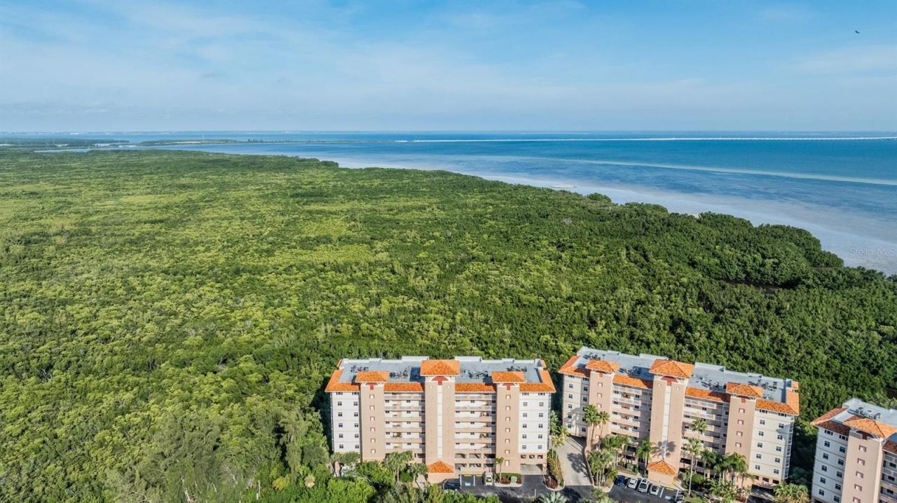 12033 Gandy Boulevard N, Unit 135, Saint Petersburg, FL 33702 Photo