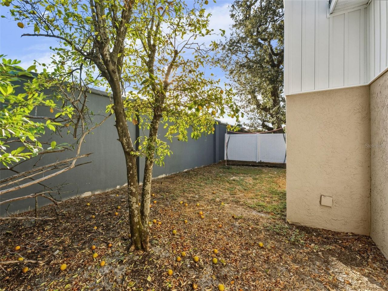 4016 W Nassau Street, Tampa, FL 33607 Photo