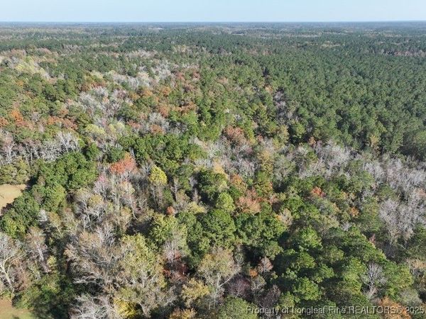 TBD Mille Christine Road, Whiteville, NC 28472