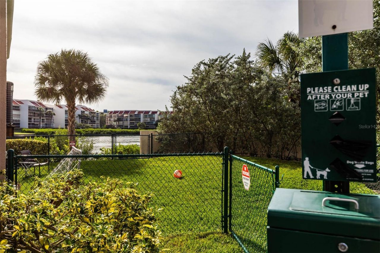 3333 Pasadena Avenue S, Unit A1, South Pasadena, FL 33707 Photo