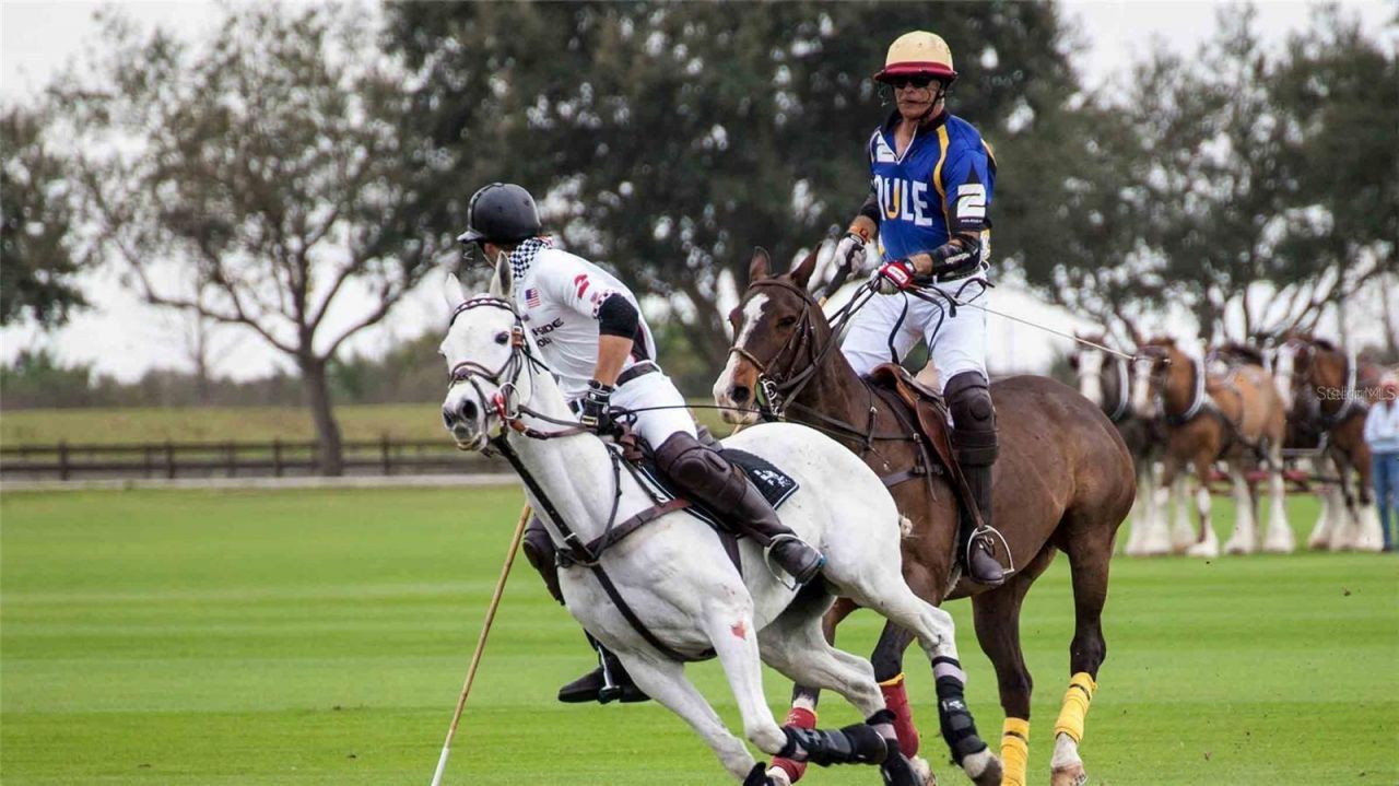 17710 Cantarina Cove, Bradenton, FL 34211 Photo