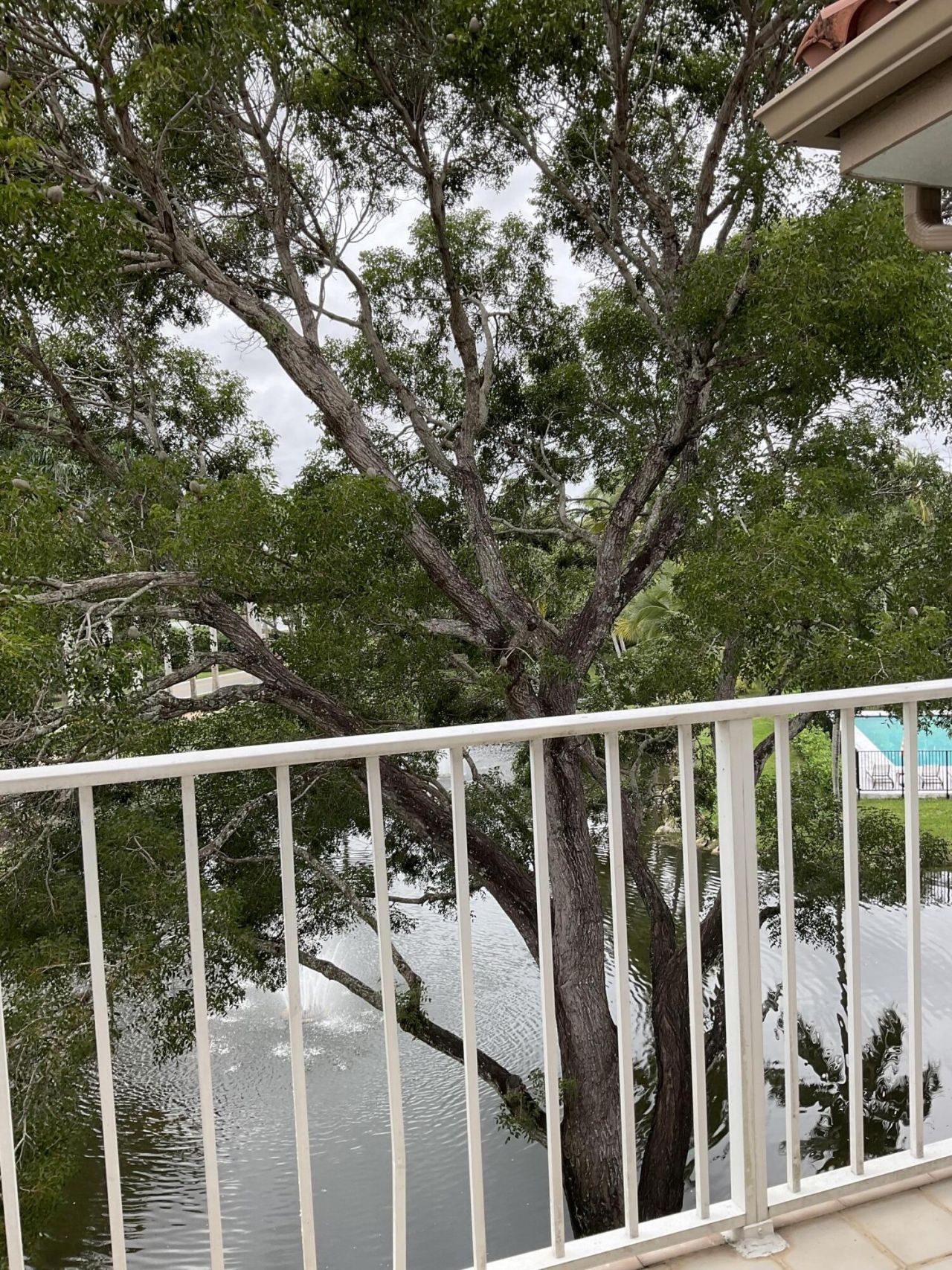 7370 Orangewood Lane, Unit 303, Boca Raton, FL 33433 Photo