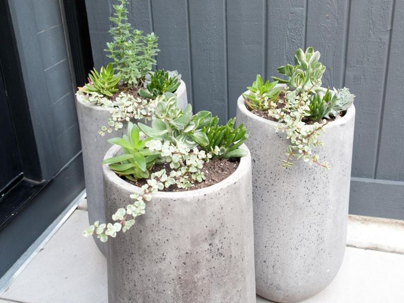 186 E Sycamore Street, Columbus, OH 43206 Photo 31