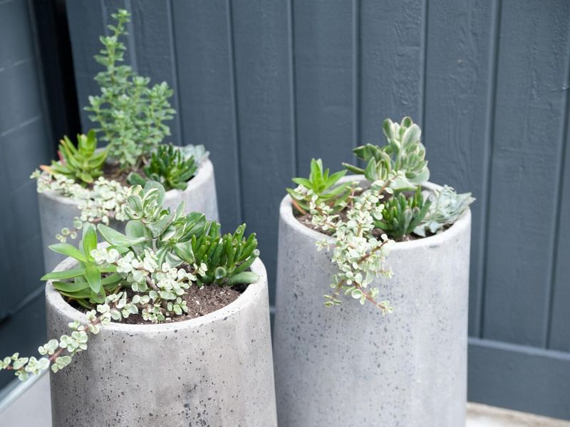 186 E Sycamore Street, Columbus, OH 43206 Photo 42