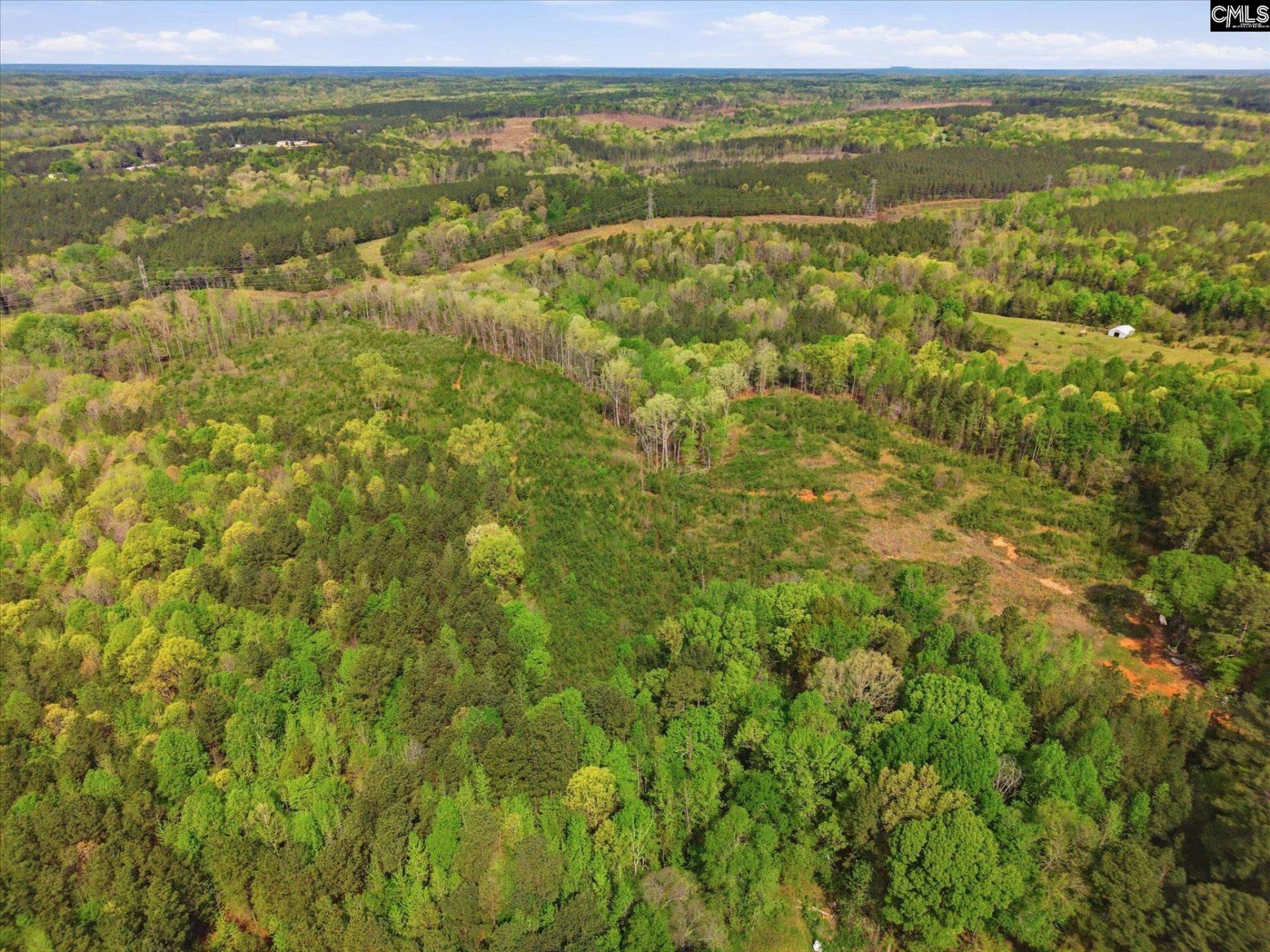 1339 Liberty Road Photo 31