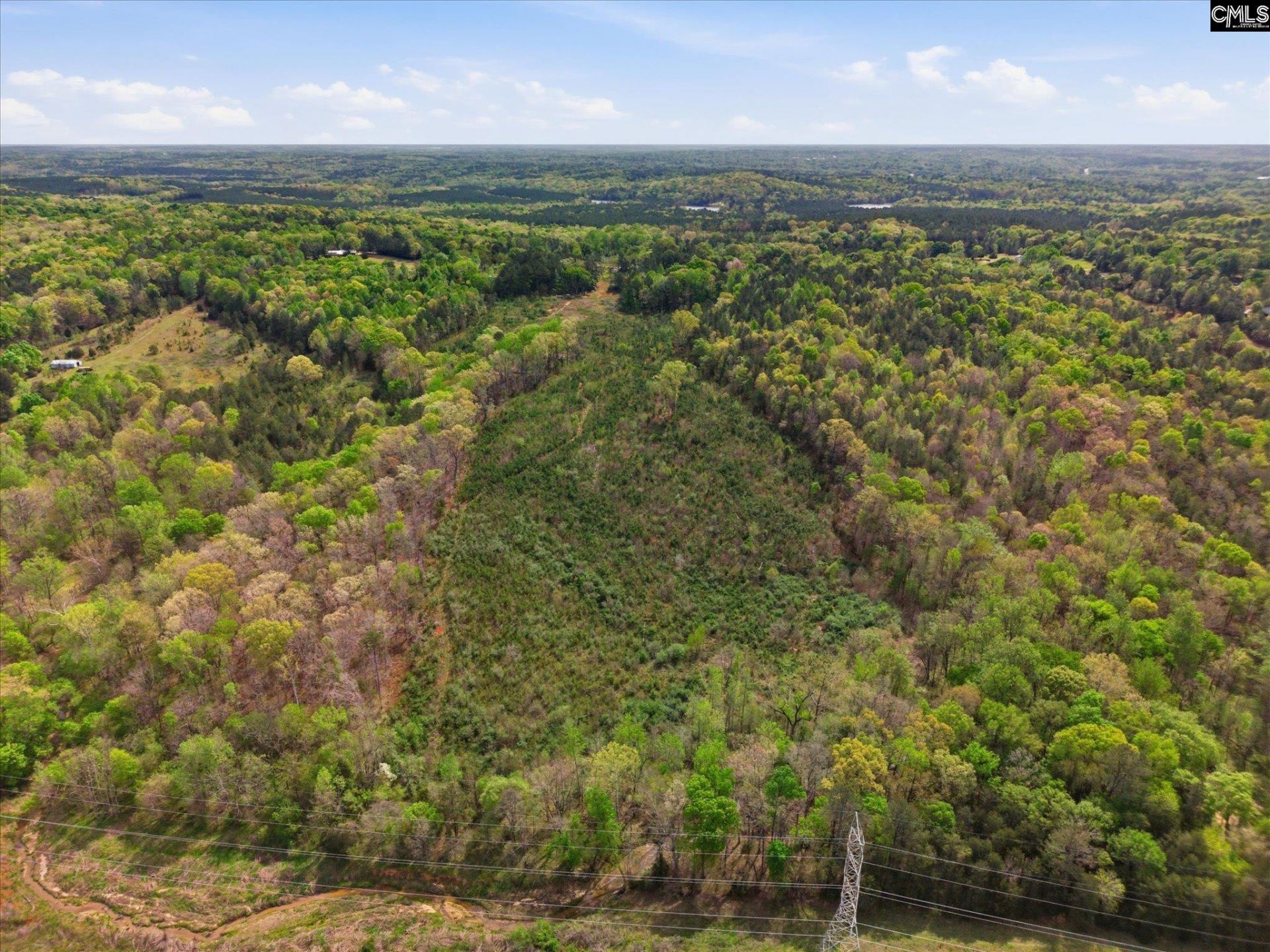 1339 Liberty Road Photo 32
