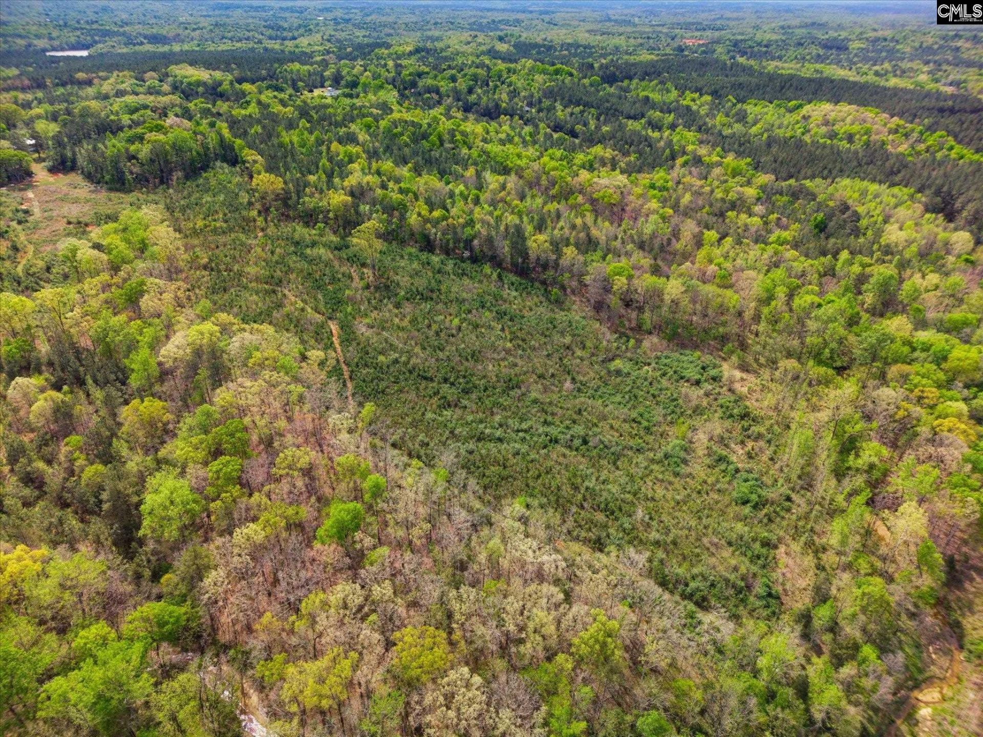 1339 Liberty Road Photo 34