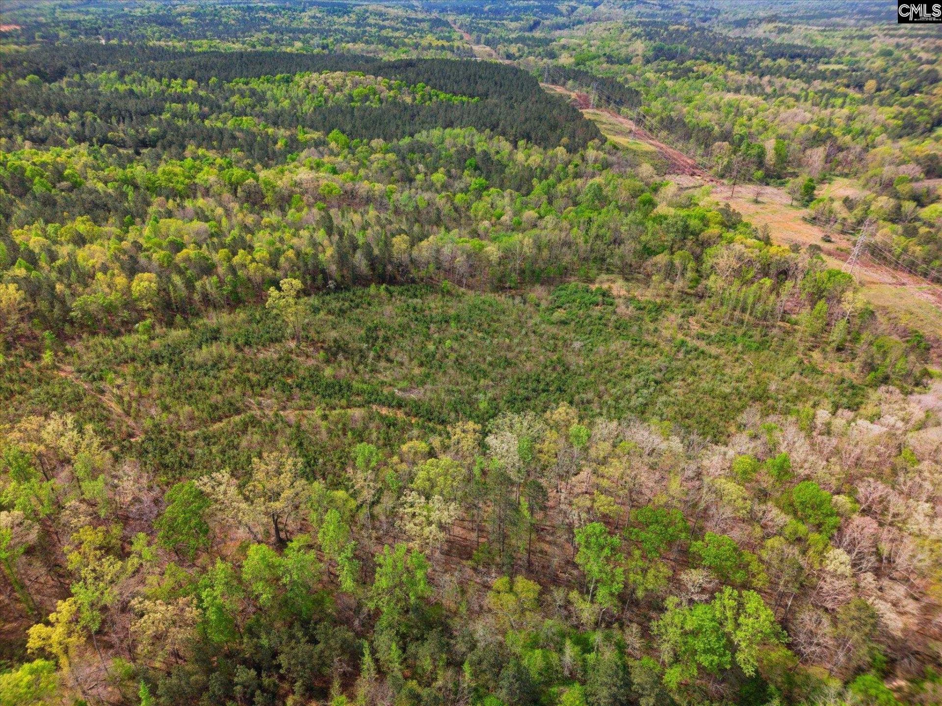 1339 Liberty Road Photo 37