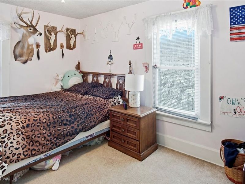 10112 S River Road, McConnelsville, OH 43756 Photo 36