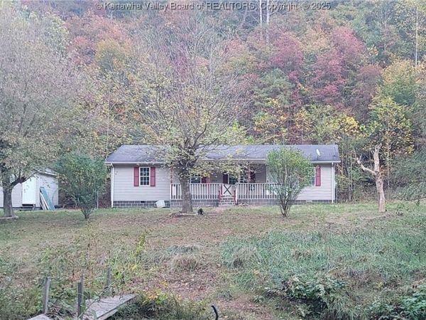 9768 Blue Lick Road, Branchland, WV 25506