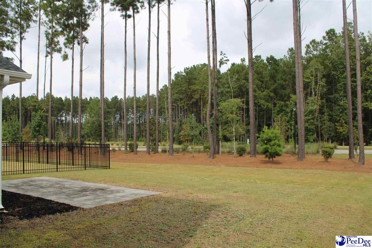 1008 Magnolia Warbler Way Photo 10