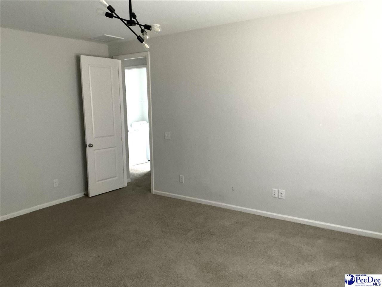 1008 Magnolia Warbler Way Photo 19