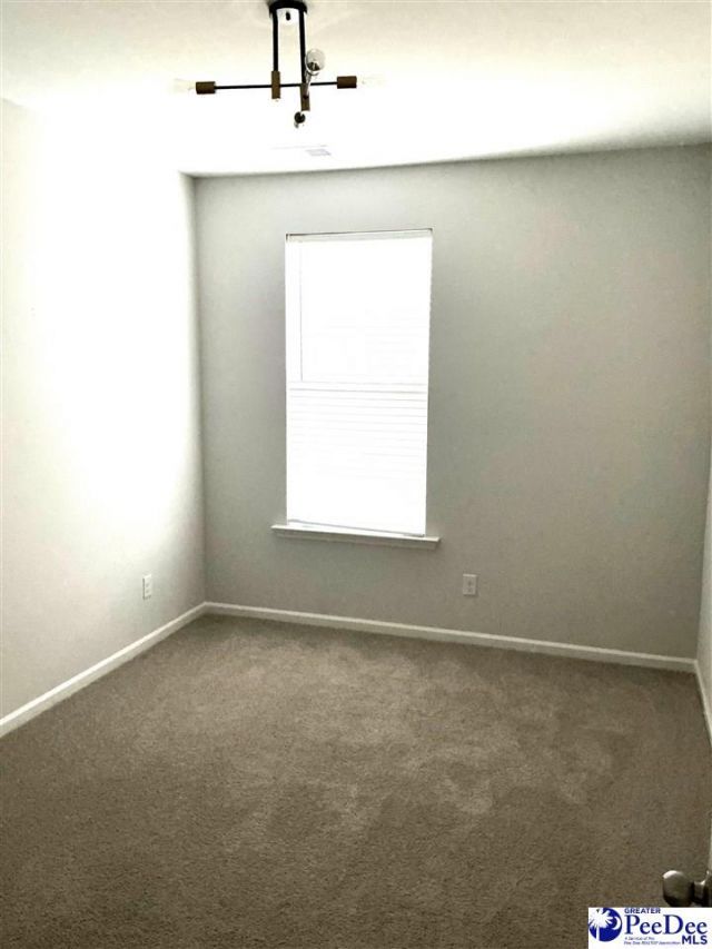 1008 Magnolia Warbler Way Photo 23