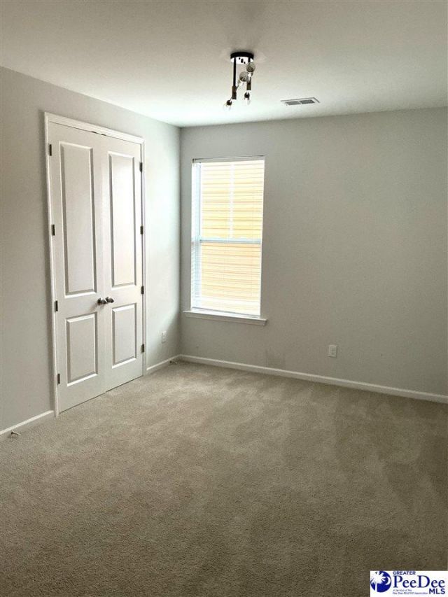 1008 Magnolia Warbler Way Photo 24