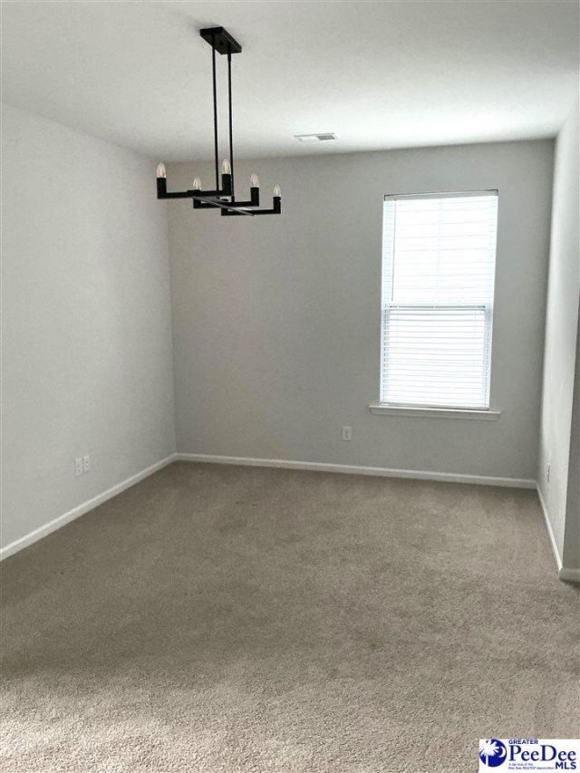 1008 Magnolia Warbler Way Photo 28