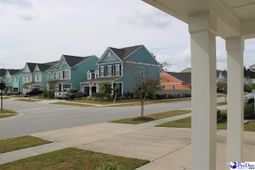 1008 Magnolia Warbler Way photo 4