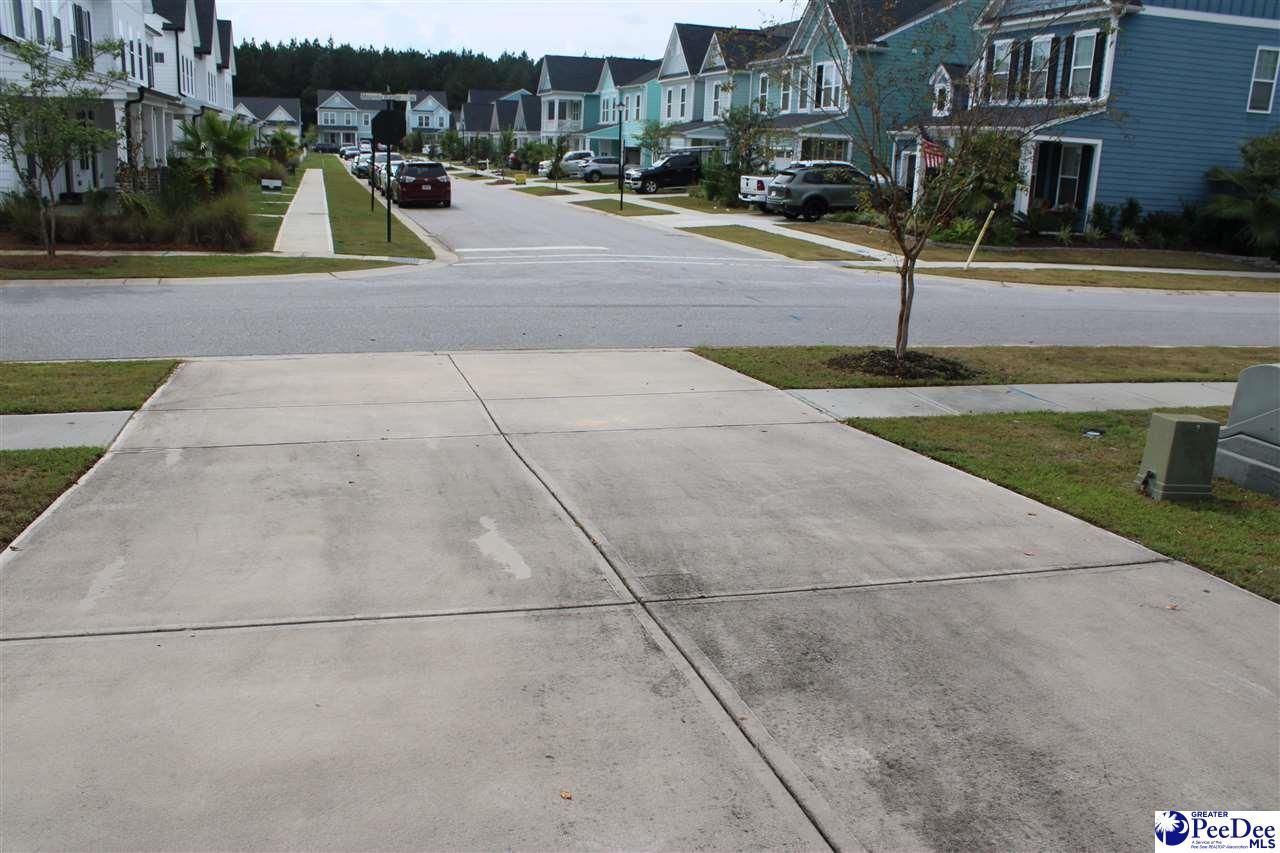 1008 Magnolia Warbler Way Photo 6