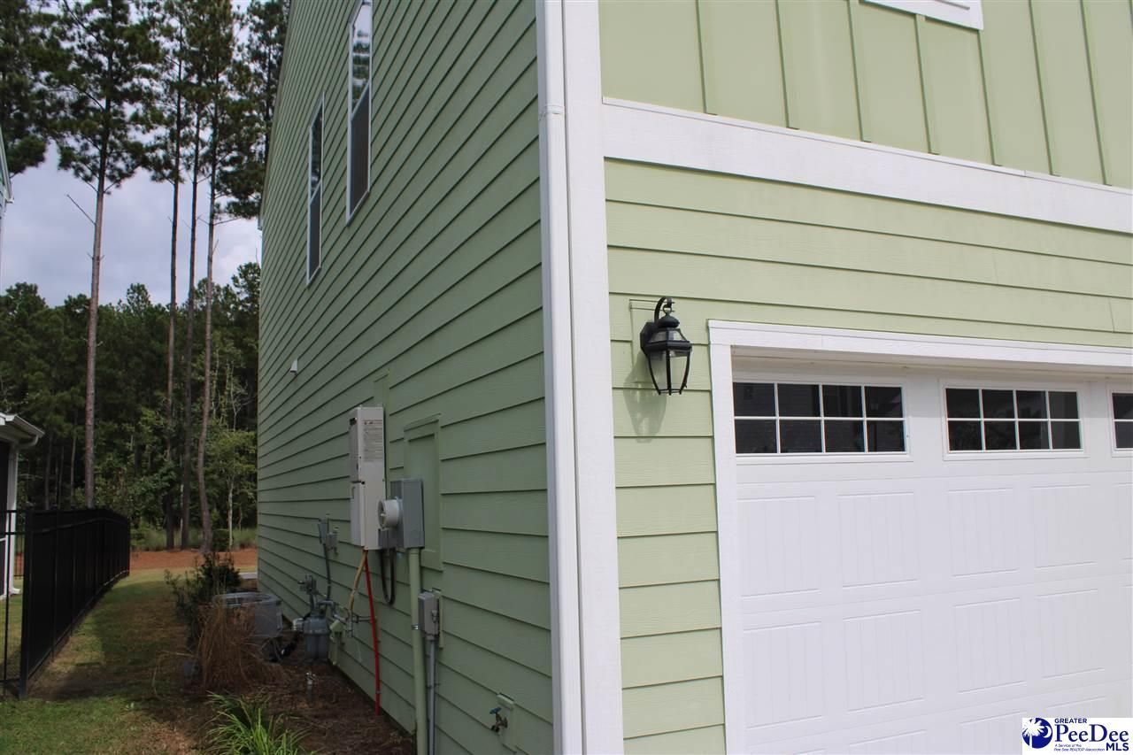 1008 Magnolia Warbler Way Photo 8