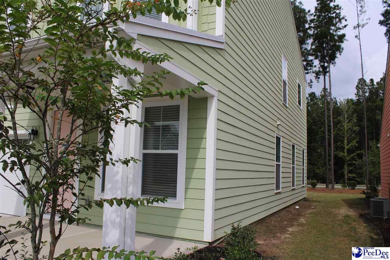 1008 Magnolia Warbler Way Photo 9