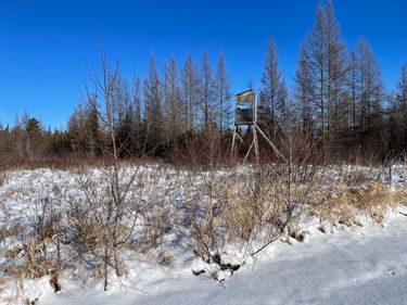 508 Cedar Valley RD, Floodwood, MN 55736