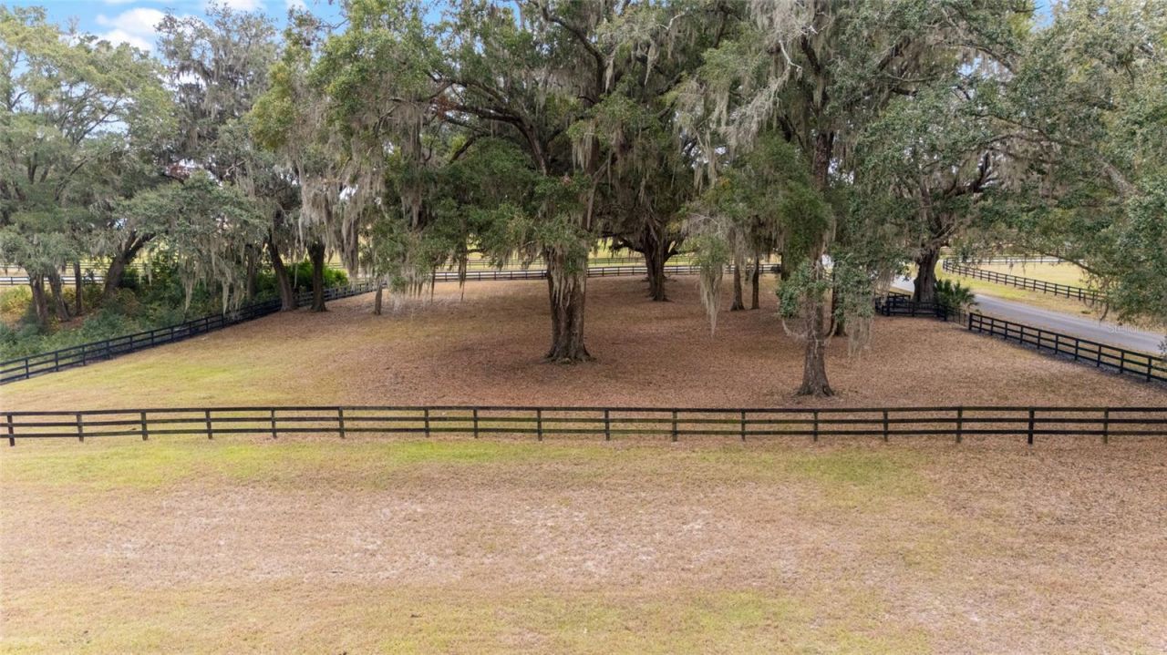 12009 NE 8th Court, Ocala, FL 34479 Photo