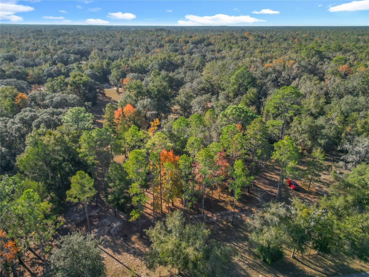 11650 NE 88th Lane, Bronson, FL 32621 Photo