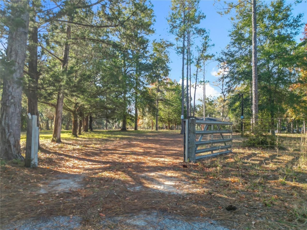 11650 NE 88th Lane, Bronson, FL 32621 Photo