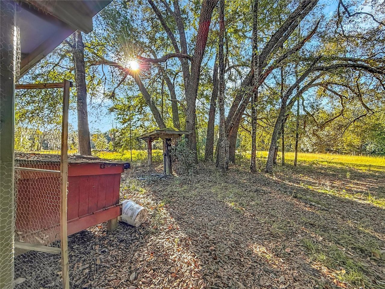 11650 NE 88th Lane, Bronson, FL 32621 Photo