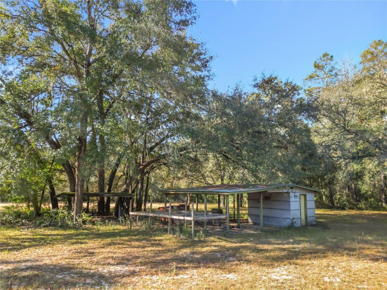 11650 NE 88th Lane, Bronson, FL 32621 Photo