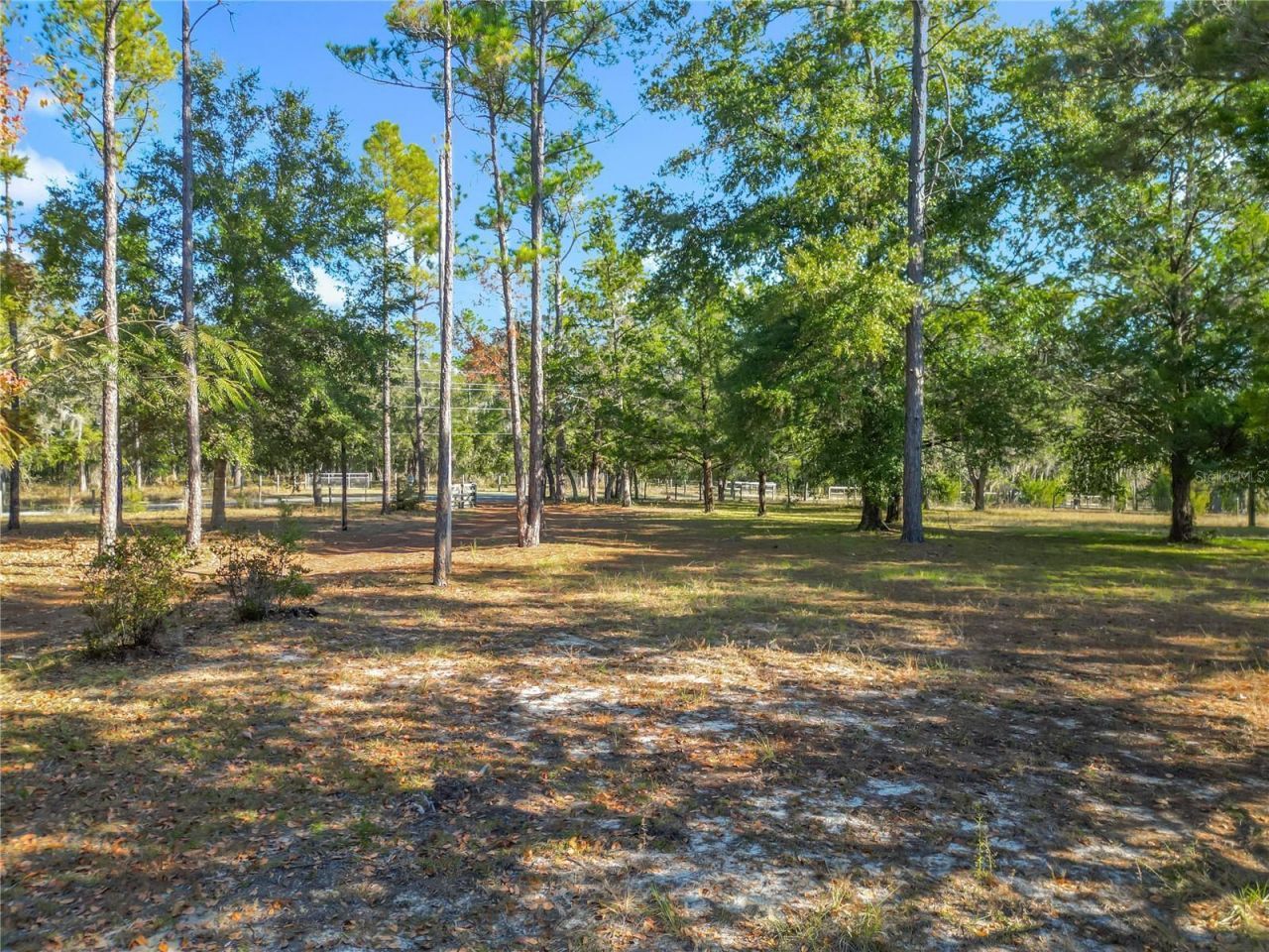 11650 NE 88th Lane, Bronson, FL 32621 Photo