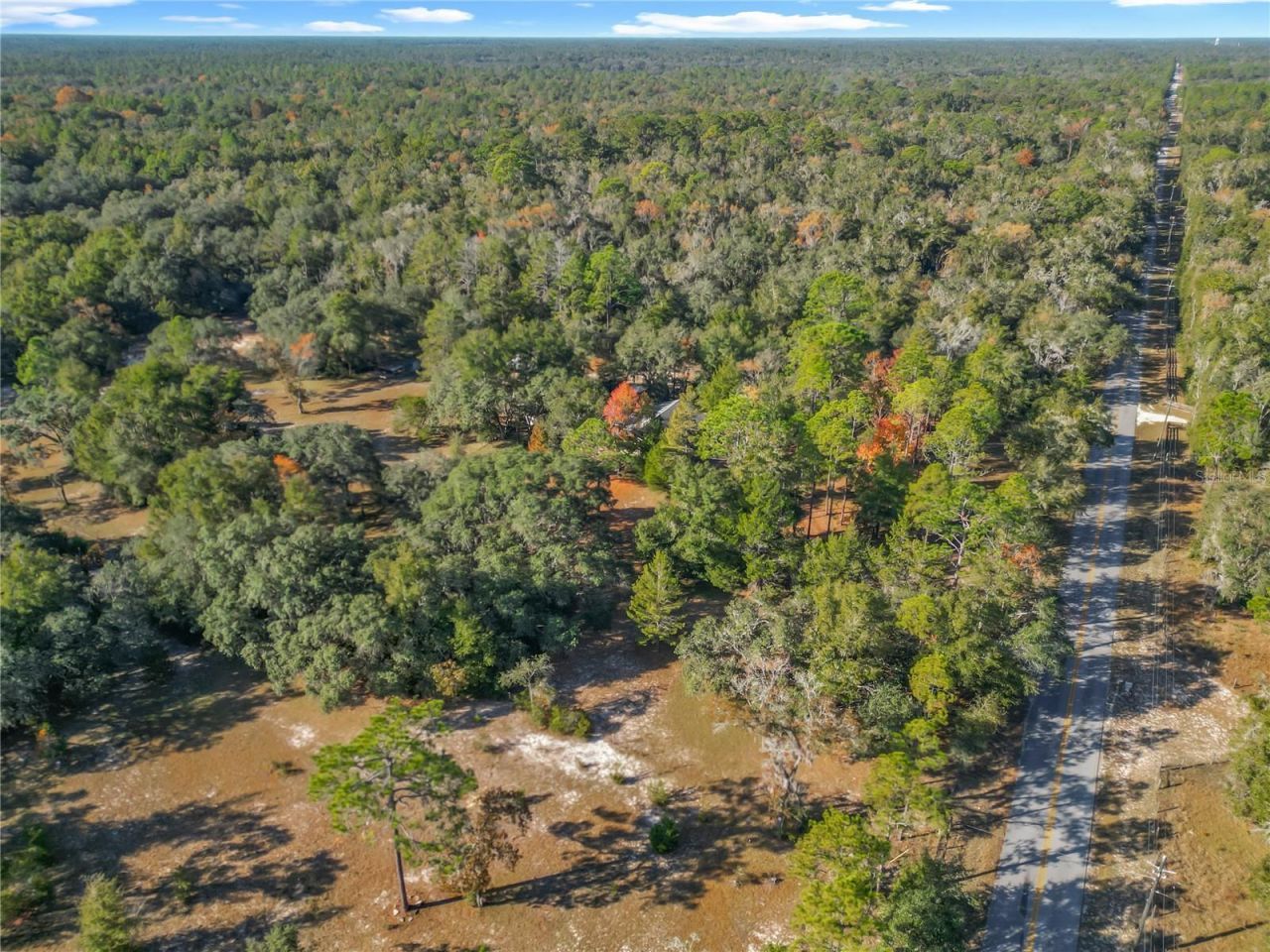 11650 NE 88th Lane, Bronson, FL 32621 Photo