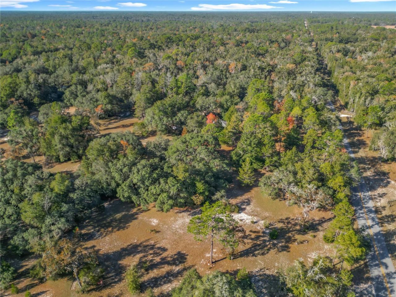 11650 NE 88th Lane, Bronson, FL 32621 Photo