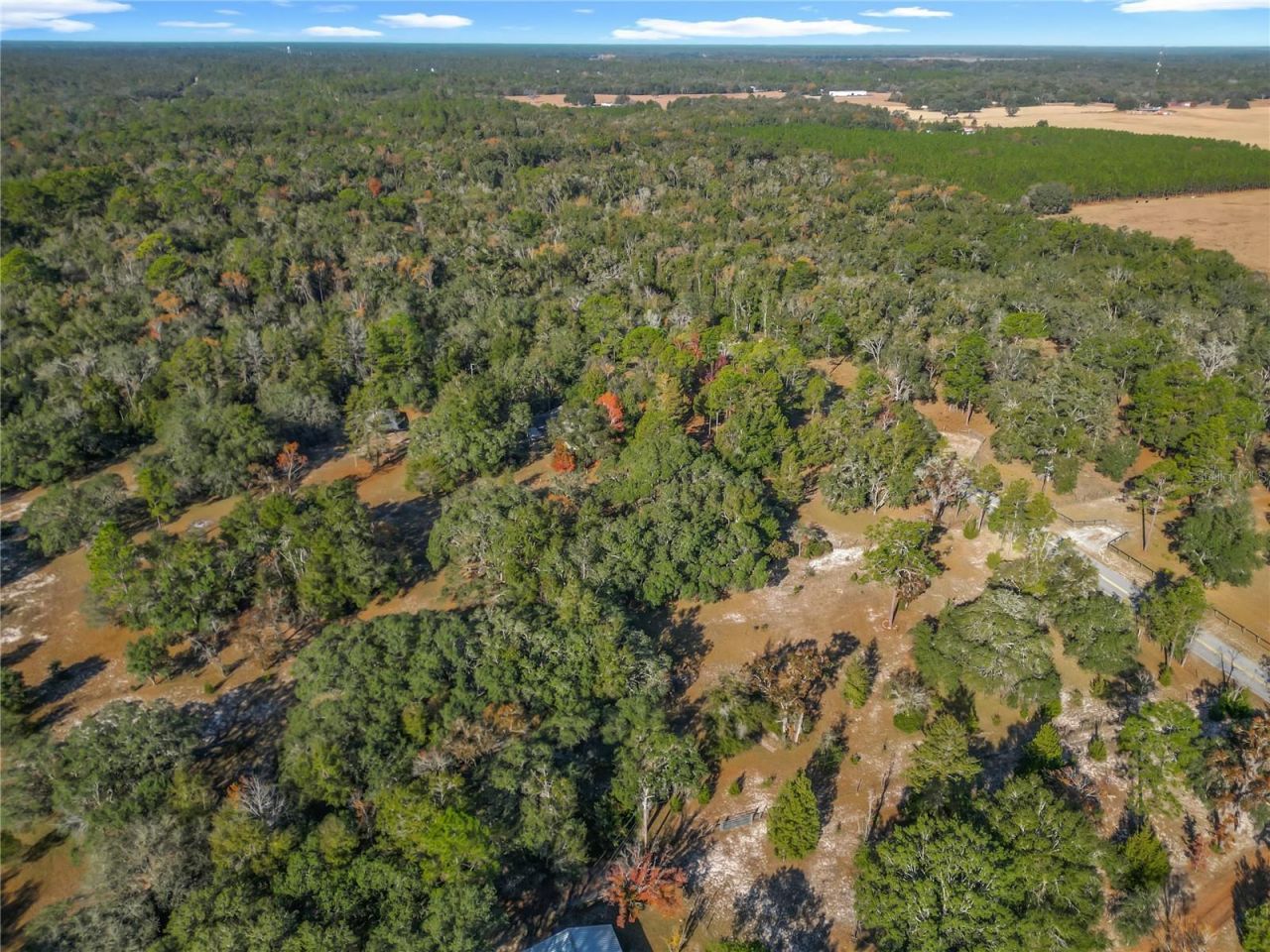 11650 NE 88th Lane, Bronson, FL 32621 Photo